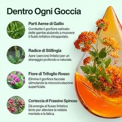 Drena+ Linfatico Liquido